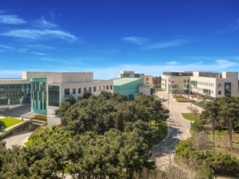 Tvitter-də ən populyar Azərbaycan universitetləri hansılardır?-SİYAHI