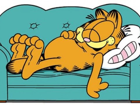 Tənbəl olmağın səbəbləri nələrdir? Necə qarşısını almaq olar?  