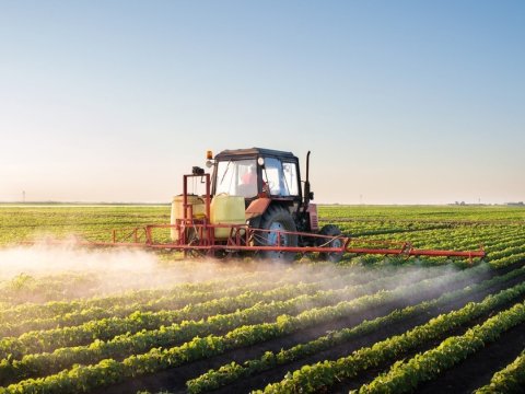 Aqrar sığorta imtahanın II mərhələsinin iştirakı üçün qeydiyyat başlayıb