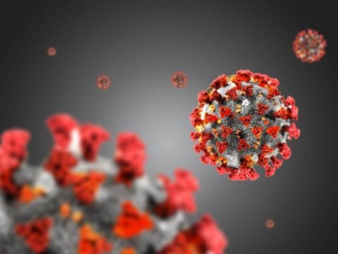 İngilis alim: Korona o qədər gücsüzləşəcək ki..