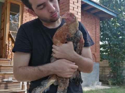 “Xaricdəki tələbəmiz”: “Heç nə üçün darıxmıram, gələcəyə aid planlarım da yoxdu”-MÜSAHİBƏ