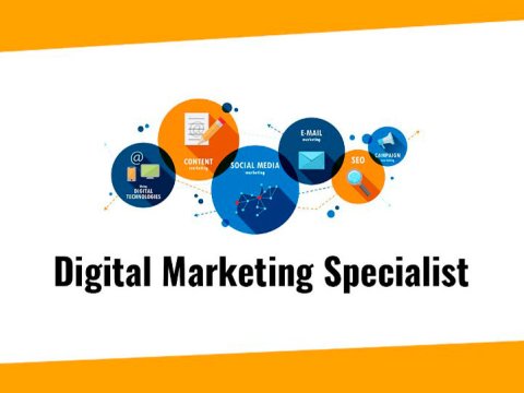 UNEC-də yeni vakansiya: rəqəmsal marketinq üzrə mütəxəssis
