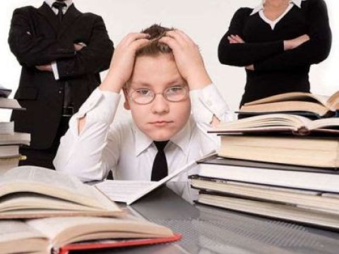 Ölkəmizdə faktiki olaraq 12 illik təhsil tətbiq edilir-Məzahir Məmmədli