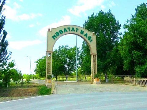 Mərkəzi Nəbatat Bağı və Dendrologiya İnstitutu AMEA-nın balansından çıxarılıb