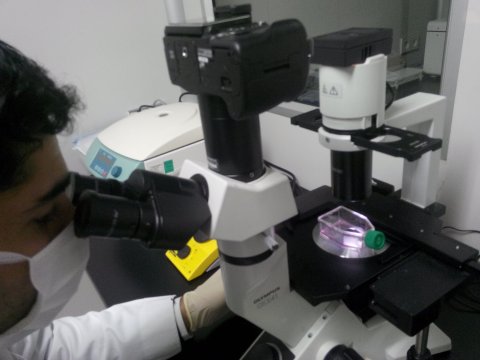 Azərbaycanın ən gənc prorektoru - “Əsərlərimə dünyada 100-ə yaxın istinadlar edilib”-FOTO