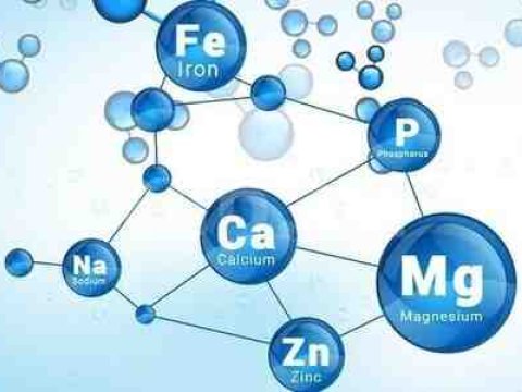 DİM-də kimya fənni üzrə işçi qrupunun iclası keçirilib