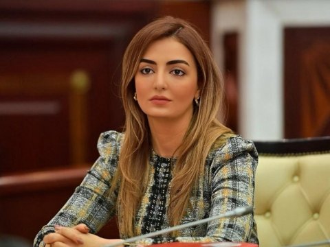 Könül Nurullayeva: Məktəb psixoloqlarının işini düzgün istiqamətləndirən proqramın işlənilməsinə ehtiyac var  