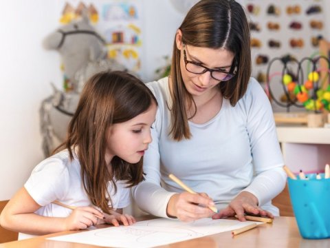 “Bu yolla repetitor yanına gedənlərin sayı azala bilər” - TƏKLİF