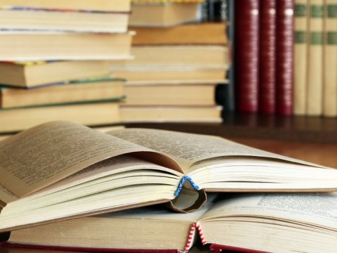 Azərbaycan dili və ədəbiyyat dərslikləri bərbad gündədir-Sabiq deputat