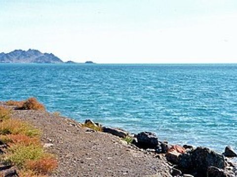AMEA: Xəzəri Aral dənizinin aqibəti gözləyə bilər