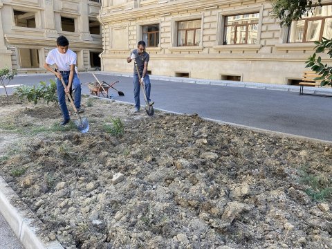 AzTU tələbələri iməcilikdə iştirak edib