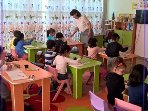 Bağçalarla bağlı problemlərin həllini nazirlik daha yaxşı bilir- Çıxış yolu