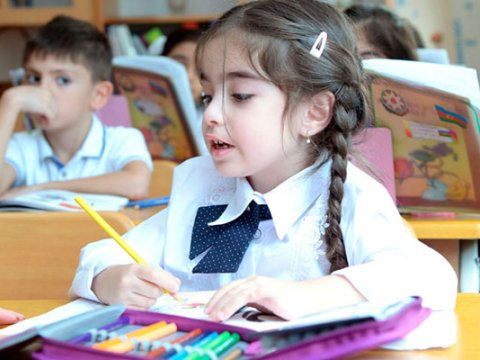 Mütəxəssisdən nazirliyə SƏRT TƏNQİD: “Şagirdlər məktəbə kitabsız gedir...”