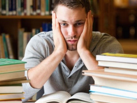 Köçürülməsində yol verilən qanunsuzluqlar, mövcud problemlər-Hamısına SON qoyulacaq