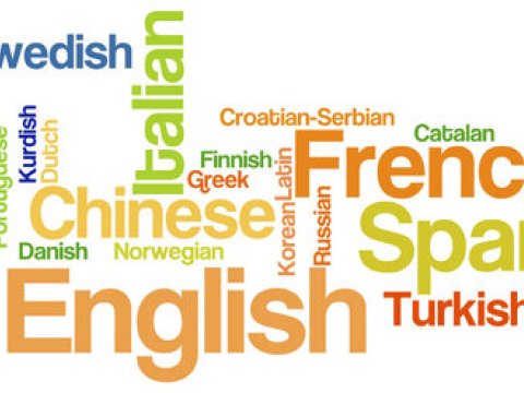 Uşağın evdə ingilis dilini öyrənməsinə necə töhfə vermək olar?