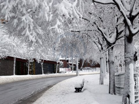 Bağçalar kəskin qar səbəbindən bağlana bilər?-ETİRAZ