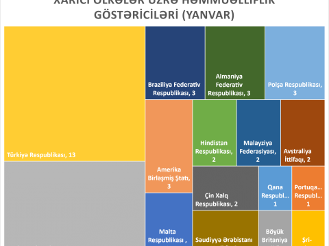 UNEC-ə məxsus elmi əsərlərin xarici ölkələr üzrə həmmüəlliflik göstəriciləri