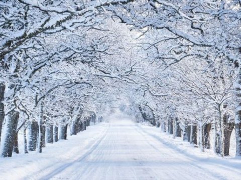 Sabahın hava proqnozu - Külək, qar...