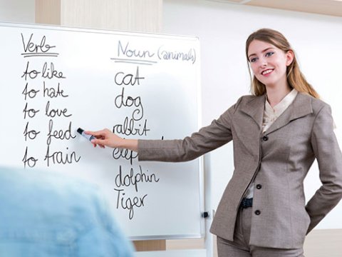 Müəllimlərimiz xarici dili düzgün tədris edə bilirmi? - EKSPERT