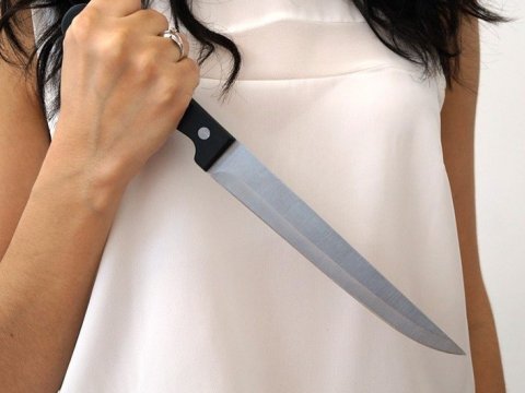 Məktəbli qız 5 nəfəri bıçaqladı