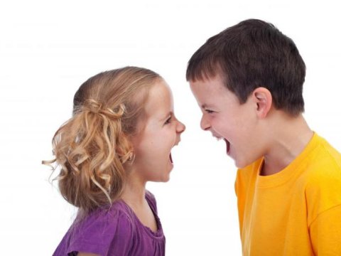 Uşaqlarda aqressiya yaradan amillər - ARAŞDIRMA