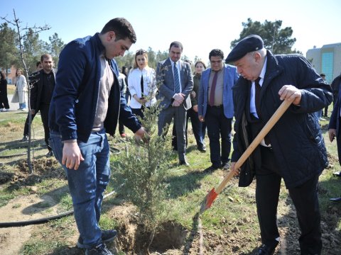 BMU-da ağacəkmə aksiyası keçirilib