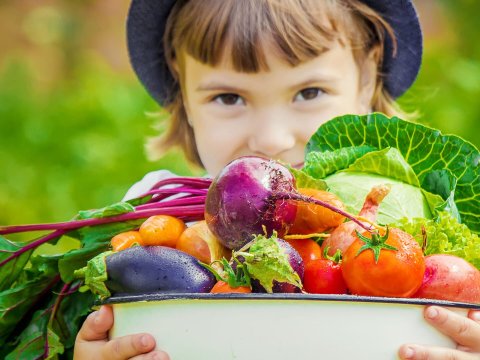 Meyvə-tərəvəz yemək akademik uğur üçün vacibdir - TÖVSİYƏ