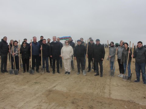 DİM-in əməkdaşları ağacəkmə aksiyasında...