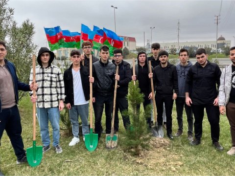 BMU tələbələri ağacəkmə aksiyasında...