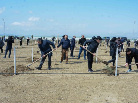UNEC ağacəkmə aksiyasına qoşuldu
