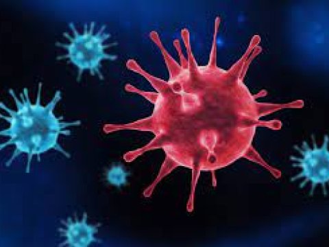 Dünya yeni təhlükəli virus pandemiyası ilə üzləşə bilər