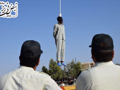 Edamların sayı 75% artıb