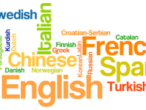 İngilis dili səviyyənizi öyrənməyin 4 yolu