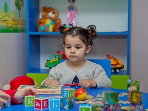 Bağçalara sənəd qəbulu müvəqqəti dayandırılıb