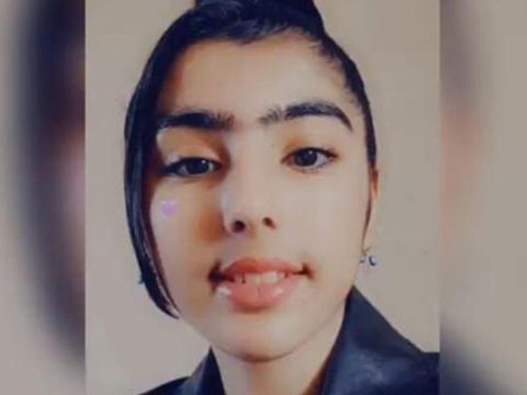 13 yaşlı qızın evdən qaçmasına görə kim günahkardır: valideyn, məktəb, TV-lər...