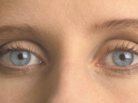 Elm də TƏSDİQLƏDİ:  gözlər qəlbin aynasıdır  