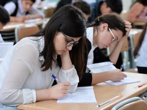 Magistraturaya ixtisas seçimi edənlərin sayı AÇIQLANDI