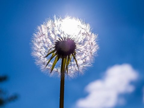 Şənbə günü 38 dərəcə isti olacaq