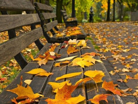 Payız fəsli bu tarixdə daxil olacaq