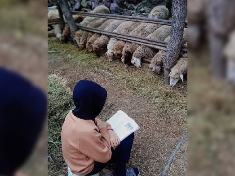 Məktəbli çoban : “İnsanlara ziyan verən şəxsləri dünyadan təmizləmək istərdim”