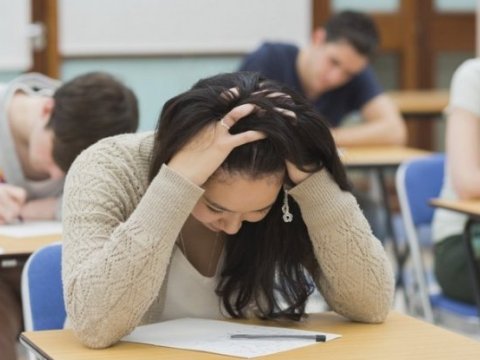 Apellyasiyaya ən çox müraciət edən ixtisas qrupları AÇIQLANIB