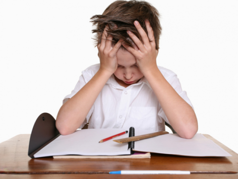 Şagirdlərin “ev tapşırığı” dərdi : “Dərs yükü onların inkişafına mane olur”