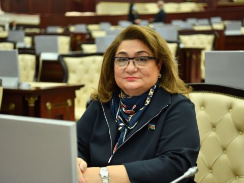 Məktəblərdə psixoloq və sosial işçilərin ştat vahidinin artırılmasına ehtiyac var