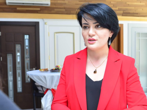 İşləyən tələbələrə güzəşt edilsin! -  Universitetlər yeni sistem yaratmalıdır