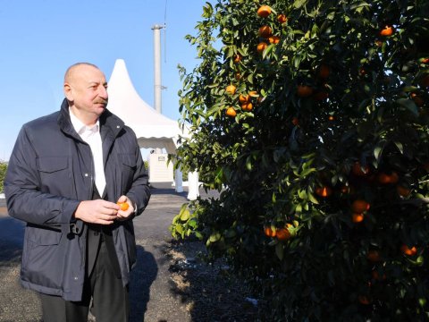 Düzgün seçim gələcək inkişafımızın təminatıdır