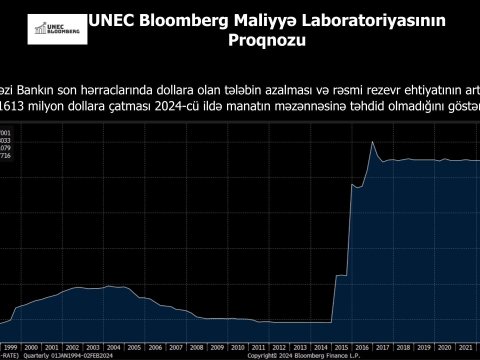 UNEC-dən manatın məzənnəsi ilə bağlı PROQNOZ
