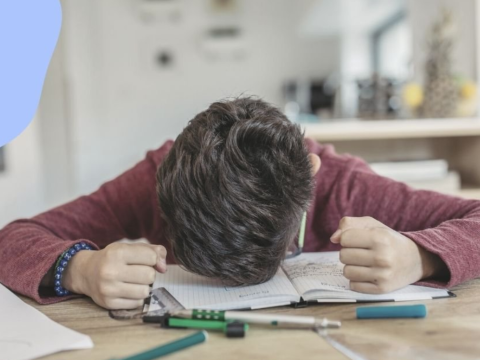 Buraxılış imtahanı yaxınlaşır – Psixoloqdan abituriyentlərə ÇAĞIRIŞ