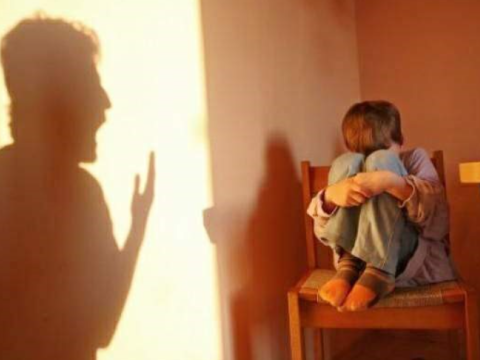 Məişət zorakılığı: “Valideynləri də maarifləndirməliyik”