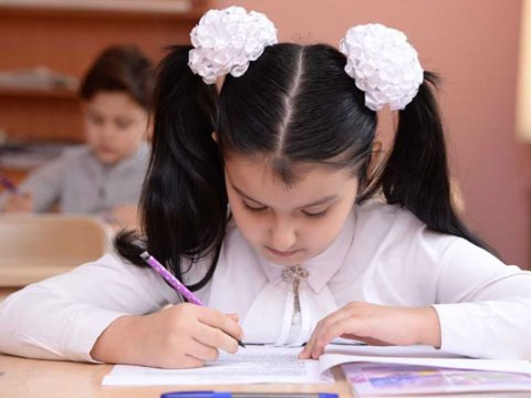 Qız uşaqlarını təhsildən yayındıran ailələr haqqında məlumat bazası yaradılıb