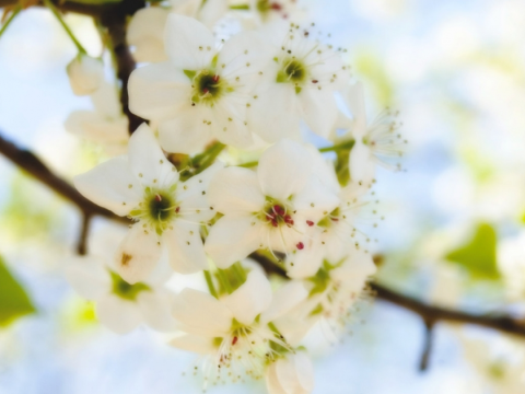  Havanın temperaturu iqlim normasından yuxarı olub